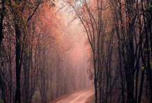 曼联对阵水晶宫，这场英超对决的比分会如何？